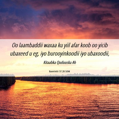 Picture 06 - Baxniintii 37:20 SOM - Oo laambaddii waxaa ku yiil afar koob oo yicib - Bible Verse Picture