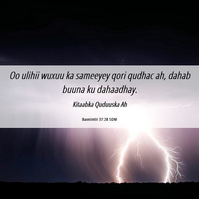 Picture 06 - Baxniintii 37:28 SOM - Oo ulihii wuxuu ka sameeyey qori qudhac ah, dahab - Bible Verse Picture