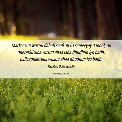 Picture 06 - Baxniintii 37:6 SOM - Markaasuu wuxuu dahab saafi ah ka sameeyey - Bible Verse Picture