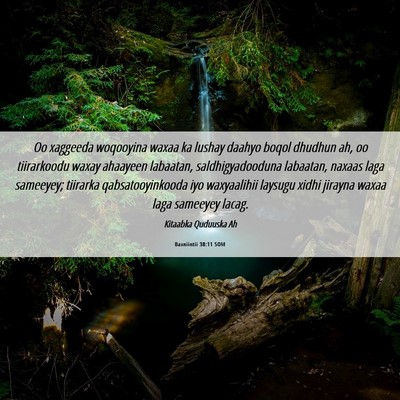 Picture 06 - Baxniintii 38:11 SOM - Oo xaggeeda woqooyina waxaa ka lushay daahyo - Bible Verse Picture