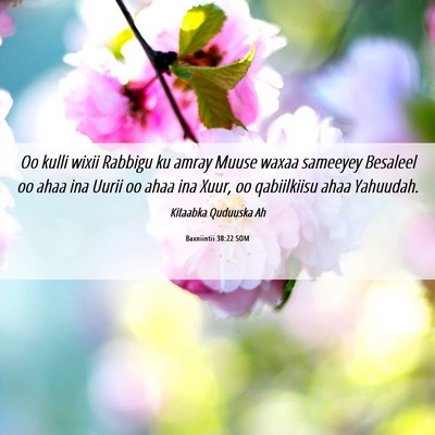 Picture 06 - Baxniintii 38:22 SOM - Oo kulli wixii Rabbigu ku amray Muuse waxaa - Bible Verse Picture
