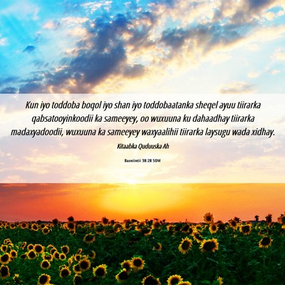 Picture 06 - Baxniintii 38:28 SOM - Kun iyo toddoba boqol iyo shan iyo toddobaatanka - Bible Verse Picture