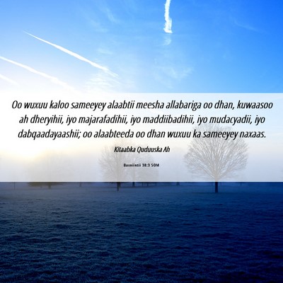 Picture 06 - Baxniintii 38:3 SOM - Oo wuxuu kaloo sameeyey alaabtii meesha - Bible Verse Picture