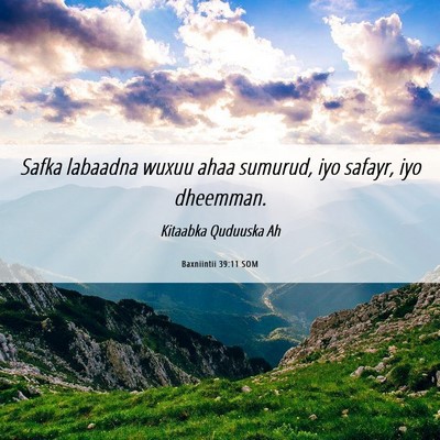 Picture 06 - Baxniintii 39:11 SOM - Safka labaadna wuxuu ahaa sumurud, iyo safayr, - Bible Verse Picture