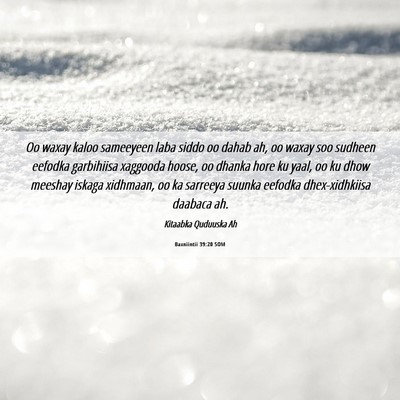 Picture 06 - Baxniintii 39:20 SOM - Oo waxay kaloo sameeyeen laba siddo oo dahab ah, - Bible Verse Picture