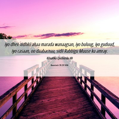 Picture 06 - Baxniintii 39:29 SOM - iyo dhex-xidhkii ahaa marada wanaagsan, iyo - Bible Verse Picture