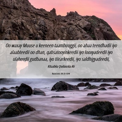 Picture 06 - Baxniintii 39:33 SOM - Oo waxay Muuse u keeneen taambuuggii, oo ahaa - Bible Verse Picture
