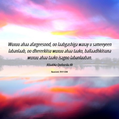 Picture 06 - Baxniintii 39:9 SOM - Wuxuu ahaa afargeesood, oo laabgashiga waxay u - Bible Verse Picture