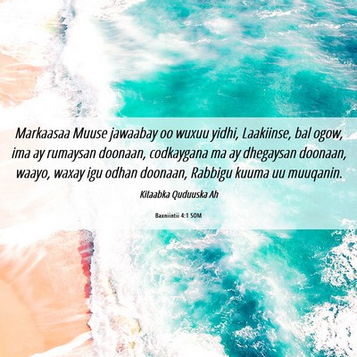 Picture 06 - Baxniintii 4:1 SOM - Markaasaa Muuse jawaabay oo wuxuu yidhi, - Bible Verse Picture