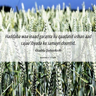 Picture 06 - Baxniintii 4:17 SOM - Haddaba waa inaad gacanta ku qaadatid ushan aad - Bible Verse Picture