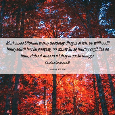 Picture 06 - Baxniintii 4:25 SOM - Markaasaa Siforaah waxay qaadatay dhagax af leh, - Bible Verse Picture