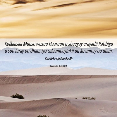 Picture 06 - Baxniintii 4:28 SOM - Kolkaasaa Muuse wuxuu Haaruun u sheegay erayadii - Bible Verse Picture
