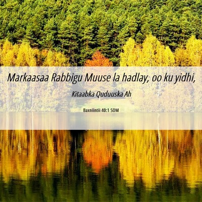 Picture 06 - Baxniintii 40:1 SOM - Markaasaa Rabbigu Muuse la hadlay, oo ku - Bible Verse Picture