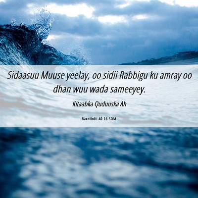 Picture 06 - Baxniintii 40:16 SOM - Sidaasuu Muuse yeelay, oo sidii Rabbigu ku amray - Bible Verse Picture