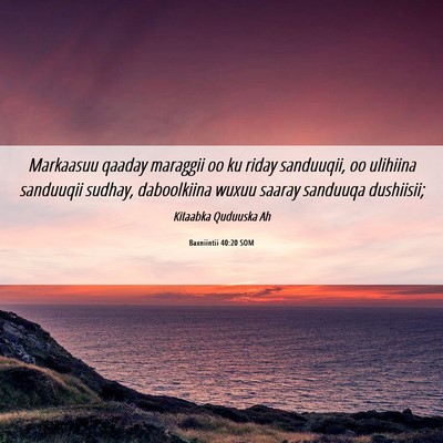 Picture 06 - Baxniintii 40:20 SOM - Markaasuu qaaday maraggii oo ku riday sanduuqii, - Bible Verse Picture