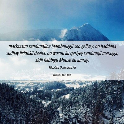 Picture 06 - Baxniintii 40:21 SOM - markaasuu sanduuqiina taambuuggii soo geliyey, oo - Bible Verse Picture