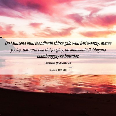Picture 06 - Baxniintii 40:35 SOM - Oo Muusena inuu teendhadii shirka galo wuu kari - Bible Verse Picture