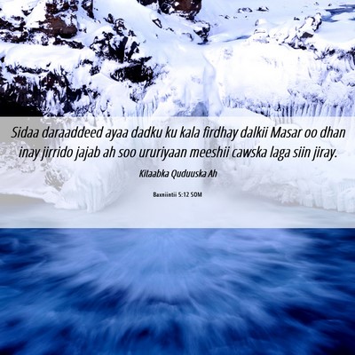 Picture 06 - Baxniintii 5:12 SOM - Sidaa daraaddeed ayaa dadku ku kala firdhay - Bible Verse Picture