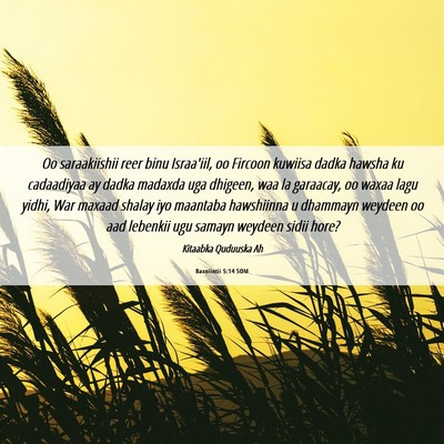 Picture 06 - Baxniintii 5:14 SOM - Oo saraakiishii reer binu Israa'iil, oo Fircoon - Bible Verse Picture