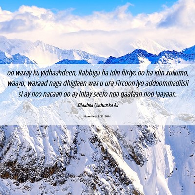 Picture 06 - Baxniintii 5:21 SOM - oo waxay ku yidhaahdeen, Rabbigu ha idin fiiriyo - Bible Verse Picture
