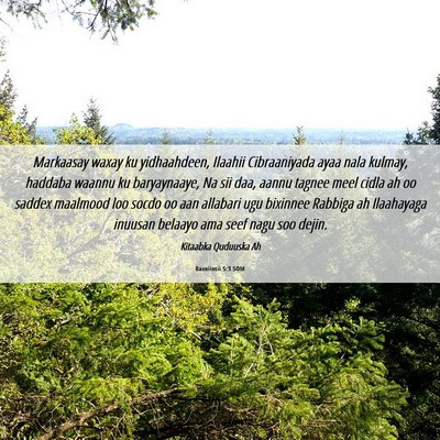 Picture 06 - Baxniintii 5:3 SOM - Markaasay waxay ku yidhaahdeen, Ilaahii - Bible Verse Picture