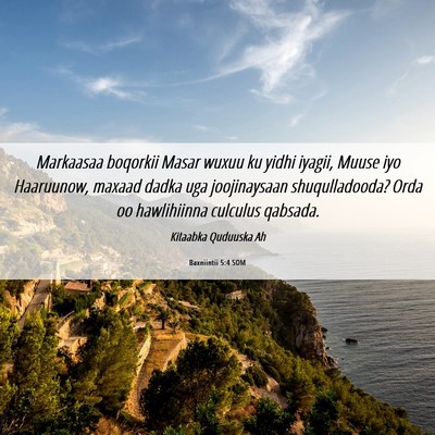 Picture 06 - Baxniintii 5:4 SOM - Markaasaa boqorkii Masar wuxuu ku yidhi iyagii, - Bible Verse Picture