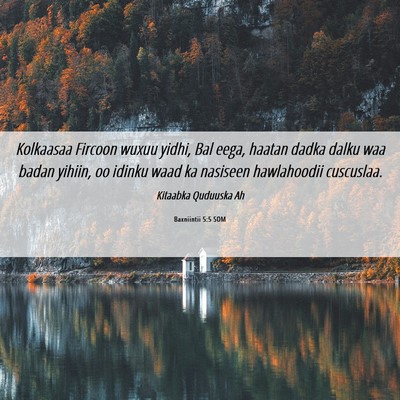 Picture 06 - Baxniintii 5:5 SOM - Kolkaasaa Fircoon wuxuu yidhi, Bal eega, haatan - Bible Verse Picture