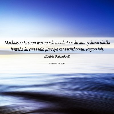Picture 06 - Baxniintii 5:6 SOM - Markaasaa Fircoon wuxuu isla maalintaas ku amray - Bible Verse Picture