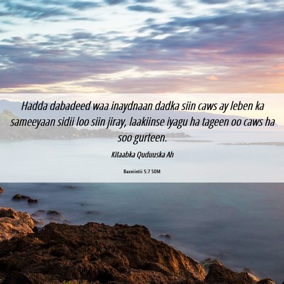 Picture 06 - Baxniintii 5:7 SOM - Hadda dabadeed waa inaydnaan dadka siin caws ay - Bible Verse Picture