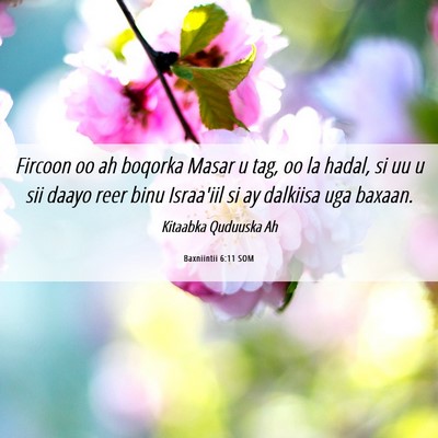 Picture 06 - Baxniintii 6:11 SOM - Fircoon oo ah boqorka Masar u tag, oo la hadal, - Bible Verse Picture