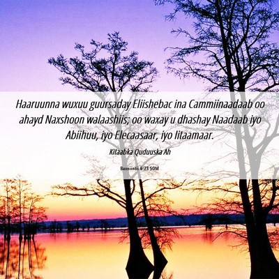Picture 06 - Baxniintii 6:23 SOM - Haaruunna wuxuu guursaday Eliishebac ina - Bible Verse Picture