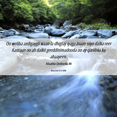 Picture 06 - Baxniintii 6:4 SOM - Oo weliba axdigaygii waan la dhigtay iyaga inaan - Bible Verse Picture