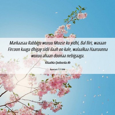 Picture 06 - Baxniintii 7:1 SOM - Markaasaa Rabbigu wuxuu Muuse ku yidhi, Bal - Bible Verse Picture