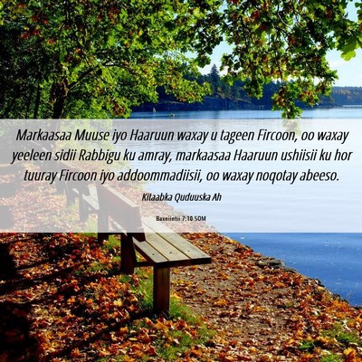Picture 06 - Baxniintii 7:10 SOM - Markaasaa Muuse iyo Haaruun waxay u tageen - Bible Verse Picture