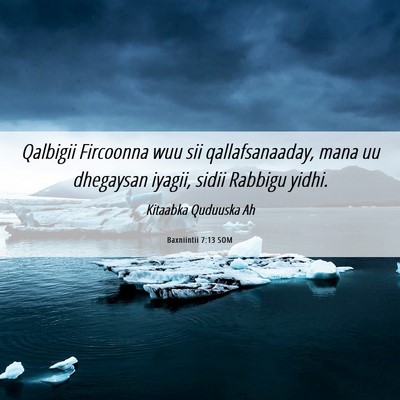 Picture 06 - Baxniintii 7:13 SOM - Qalbigii Fircoonna wuu sii qallafsanaaday, mana - Bible Verse Picture