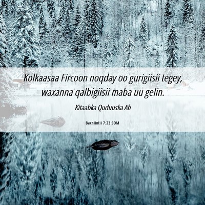 Picture 06 - Baxniintii 7:23 SOM - Kolkaasaa Fircoon noqday oo gurigiisii tegey, - Bible Verse Picture