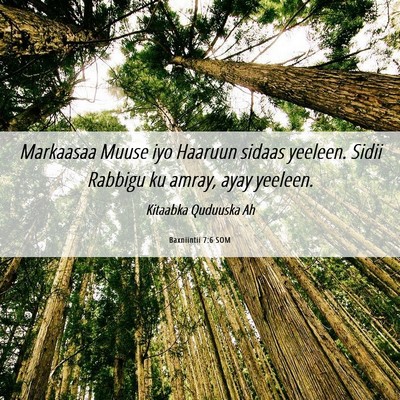 Picture 06 - Baxniintii 7:6 SOM - Markaasaa Muuse iyo Haaruun sidaas yeeleen. Sidii - Bible Verse Picture