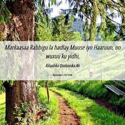 Picture 06 - Baxniintii 7:8 SOM - Markaasaa Rabbigu la hadlay Muuse iyo Haaruun, oo - Bible Verse Picture