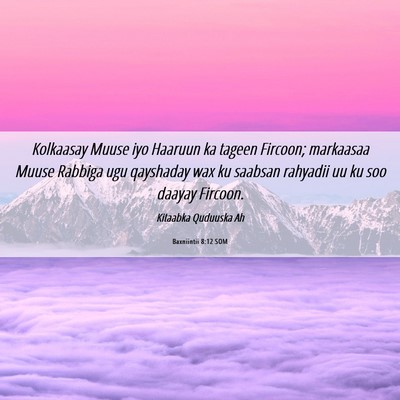 Picture 06 - Baxniintii 8:12 SOM - Kolkaasay Muuse iyo Haaruun ka tageen Fircoon; - Bible Verse Picture