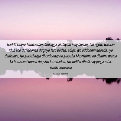 Picture 06 - Baxniintii 8:21 SOM - Haddii kalese haddaadan dadkayga sii daynin inay - Bible Verse Picture