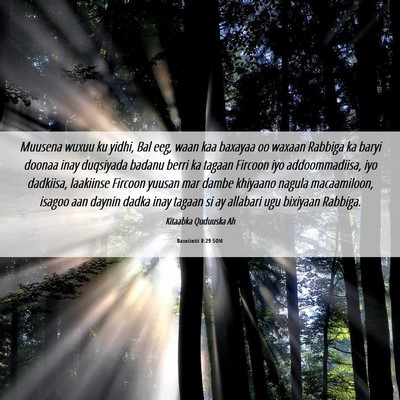 Picture 06 - Baxniintii 8:29 SOM - Muusena wuxuu ku yidhi, Bal eeg, waan kaa baxayaa - Bible Verse Picture