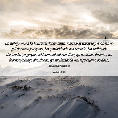 Picture 06 - Baxniintii 8:3 SOM - Oo webiga waxaa ka buuxsami doona rahyo, - Bible Verse Picture