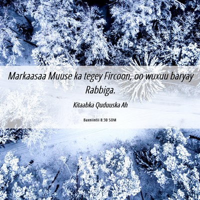 Picture 06 - Baxniintii 8:30 SOM - Markaasaa Muuse ka tegey Fircoon, oo wuxuu baryay - Bible Verse Picture