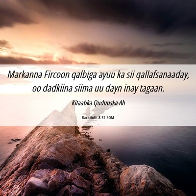 Picture 06 - Baxniintii 8:32 SOM - Markanna Fircoon qalbiga ayuu ka sii - Bible Verse Picture