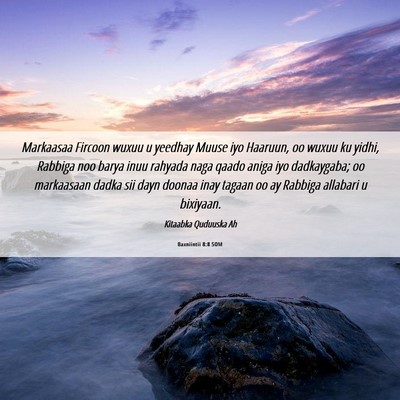 Picture 06 - Baxniintii 8:8 SOM - Markaasaa Fircoon wuxuu u yeedhay Muuse iyo - Bible Verse Picture