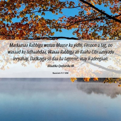 Picture 06 - Baxniintii 9:1 SOM - Markaasaa Rabbigu wuxuu Muuse ku yidhi, Fircoon u - Bible Verse Picture