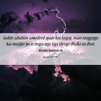 Picture 06 - Baxniintii 9:16 SOM - laakiin sababtan aawadeed ayaan kuu taagay, inaan - Bible Verse Picture