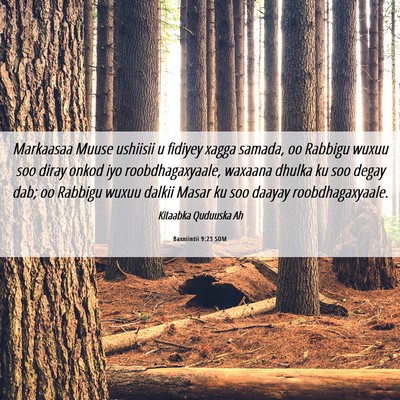 Picture 06 - Baxniintii 9:23 SOM - Markaasaa Muuse ushiisii u fidiyey xagga samada, - Bible Verse Picture