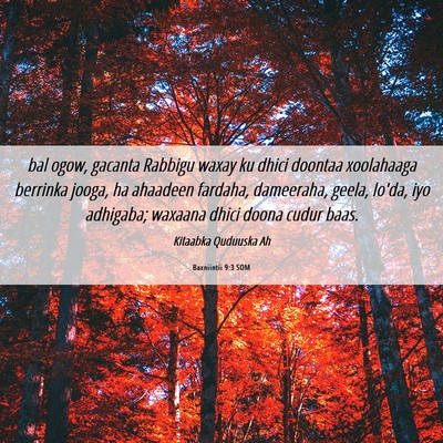 Picture 06 - Baxniintii 9:3 SOM - bal ogow, gacanta Rabbigu waxay ku dhici doontaa - Bible Verse Picture
