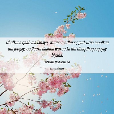 Picture 06 - Bilowgii 1:2 SOM - Dhulkuna qaab ma lahayn, wuuna madhnaa; gudcurna - Bible Verse Picture